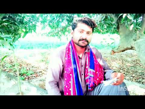 توڑ دی ہے ہم سے دوستی جناب اب بتاؤ کیس سے دوستی کرو گے