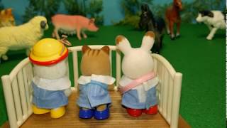 Sylvanian Families Cartoon - First Day of School
