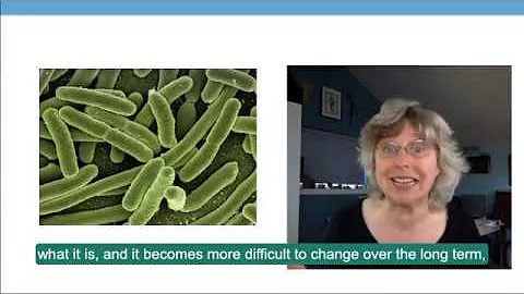 Ruth Werner on Gut Microbiome in Massage & Bodywor...