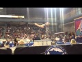 Sela Fadness Uneven Bars