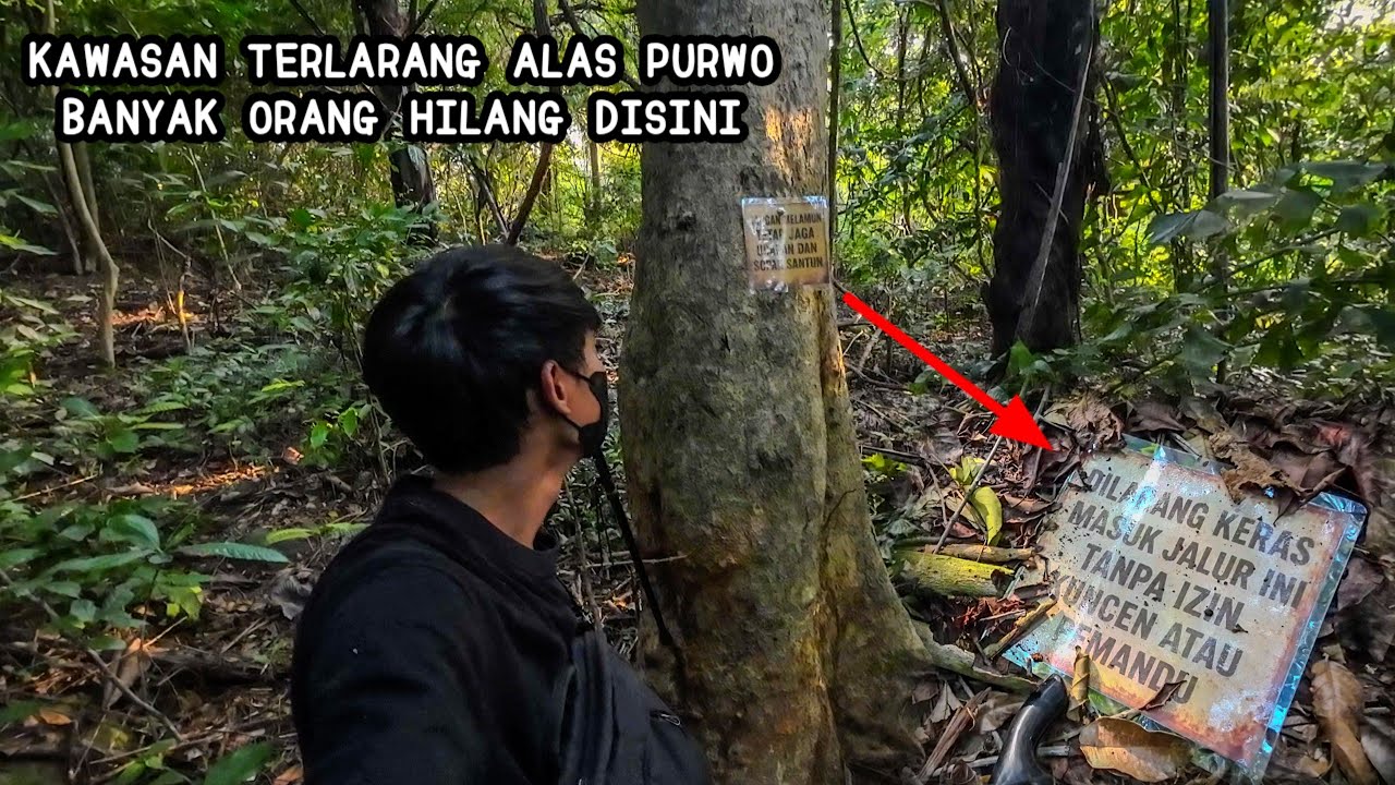 BERANTAKAN MASUK KAWASAN TERLARANG DI ALAS PURWO TERNYATA DALAM NYA SEPERTI INI