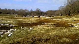 VID-20120104-00036