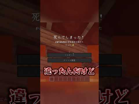 本物のブロックはどっち？？？【マイクラ】