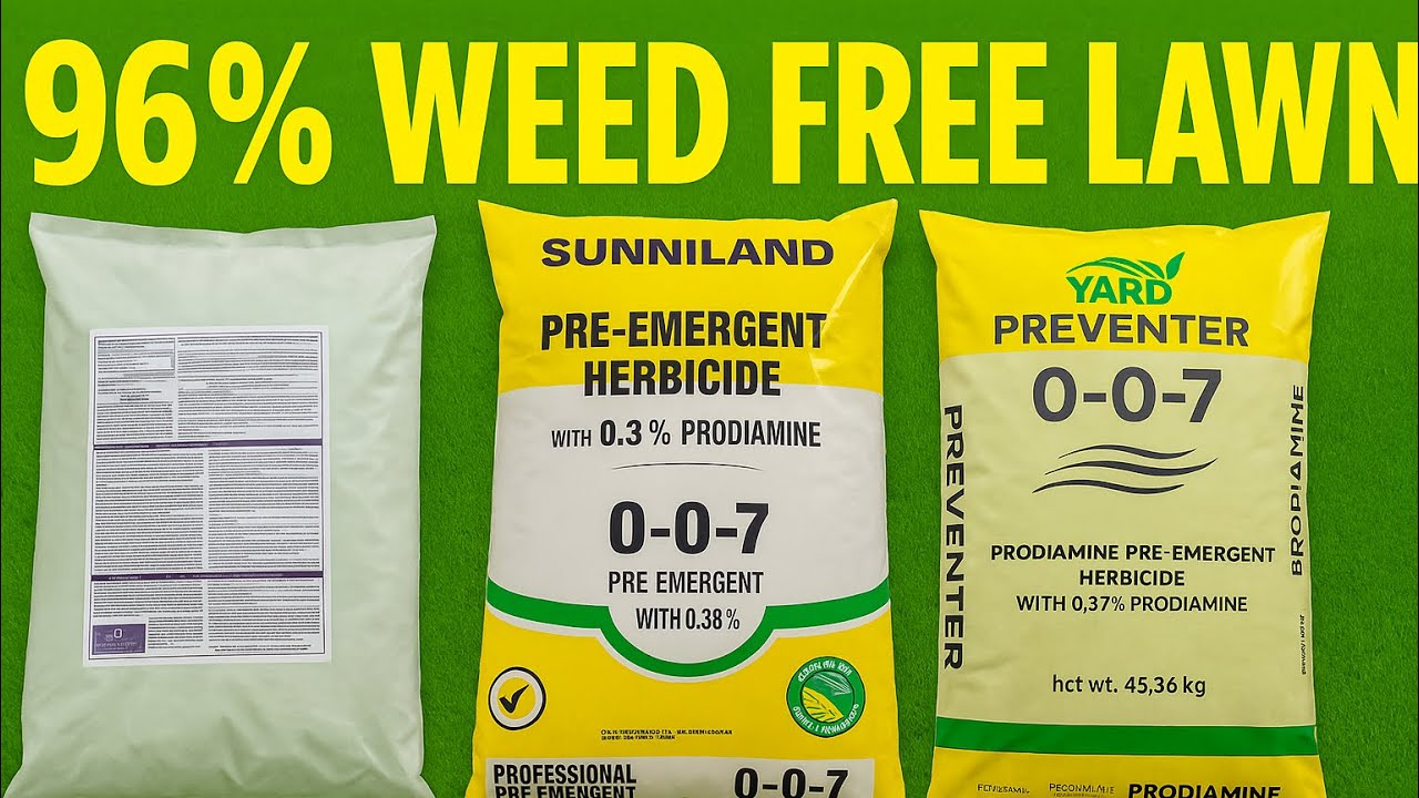 3-шаговый предаварийный процесс (гарантированный результат!!)