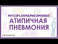 Атипичная пневмония - Микоплазма пневмонии (M.pneumoniae) - клиника, диагностика, лечение