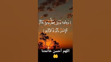 سورة الفجر  .اكتب شيئا تؤجر عليه ♥️