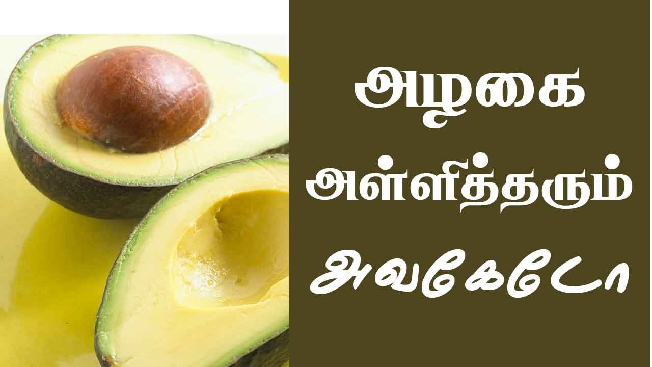 Avocado in tamil