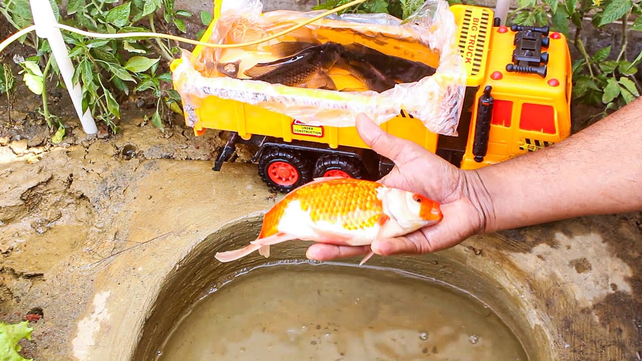 Catch fish using mini water pump | fishing exciting | diy tractor - YouTube