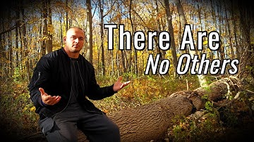 Everyone You See Is You — The Illusion of Separation