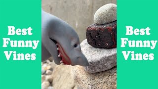 Shark Puppet Funny Tik Tok 2023  @SharkPuppet