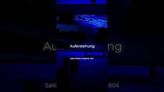 Der Qur’an ist unser Wegweiser.🌹#ZurückZuAllah #QuranVerbindet #IslamMotivation #Tawbah