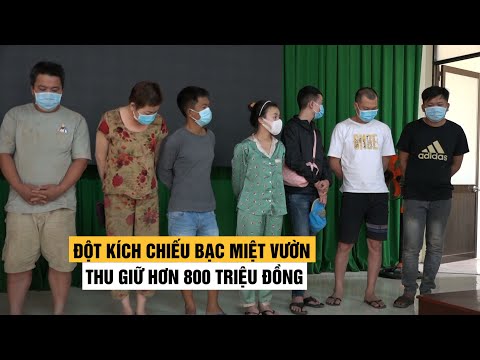 Video Đột kích chiếu bạc miệt vườn trong đêm, thu giữ hơn... - youtube