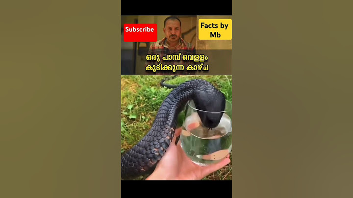 പാമ്പ് വെള്ളം കുടിക്കുന്നത് കണ്ടിട്ടുണ്ടോ 😱 #viral #shorts #short