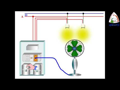 Khoa học 5: An toàn và tránh lãng phí khi sử dụng điện