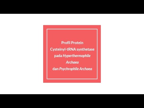 Video: Bagaimana hipertermofil dapat bertahan hidup pada suhu tinggi?
