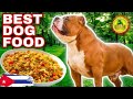 Cheapest easiest best dog food recipe  cuba  american bully xl