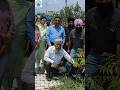 ਪੌਦੇ ਲਗਾਓ ਵਾਤਾਵਰਨ ਸ਼ੁੱਧ ਬਣਾਓ #subscribe #my #channel#viral #shortvideo#viralvideo #punjab#farming