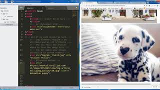 Adding images to your HTML
