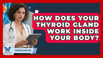 How Does Your Thyroid Gland Work Inside Your Body? - Thyroid Wellness Hub