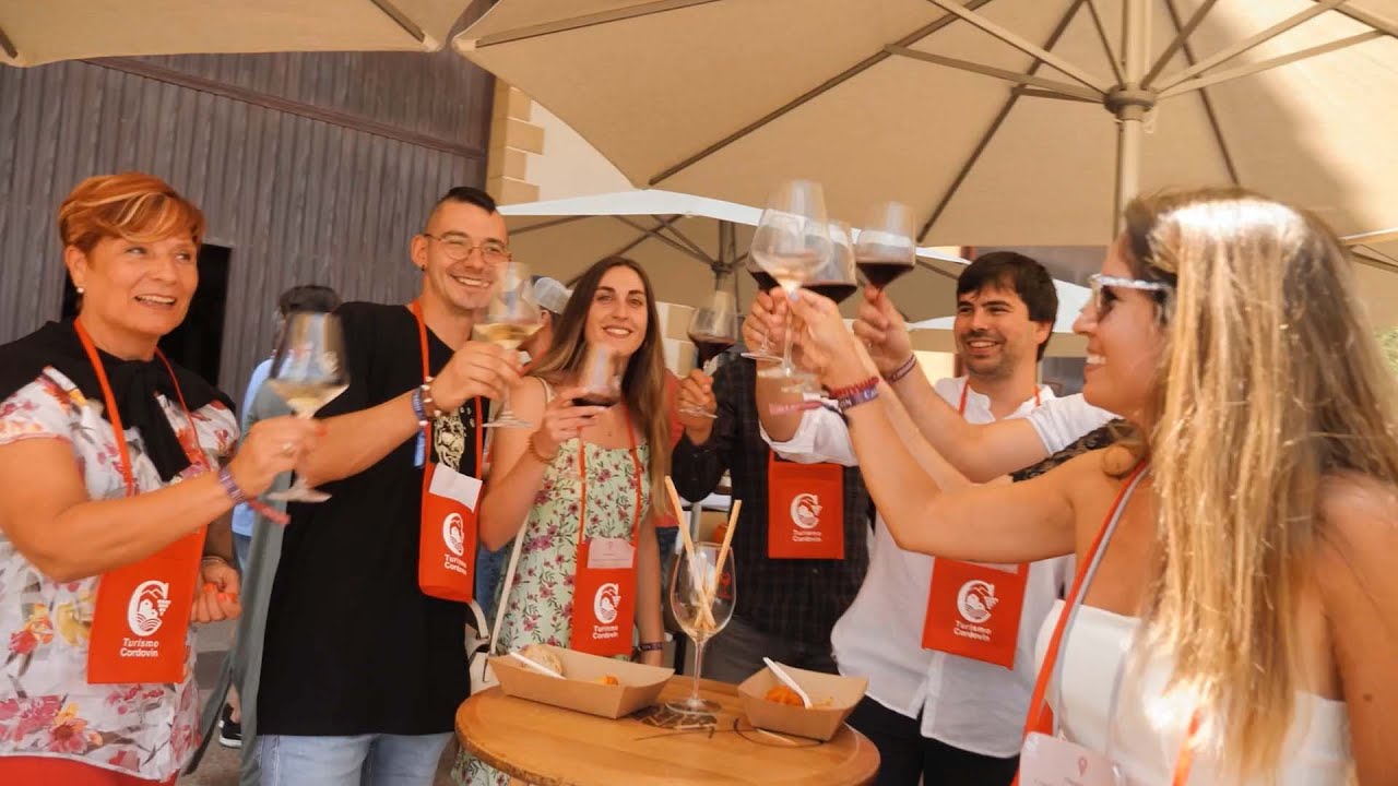 Una cata en el corazón del vino - Turismo Cordovín