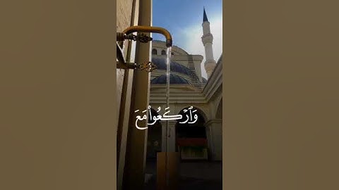 عطر صباحك بتلاوة آيات مباركة من القرآن الكريم بصوت الشيخ سعد الغامدي#الله #تلاوة_خاشعة #راحة_نفسية