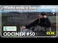 Odcinek #50 - Wielka woda w lesie 🌲💦☔️