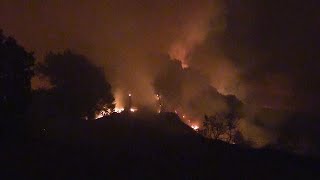Sonoma and Vallejo California Live Scanner Feeds