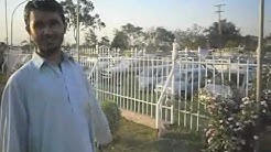 Bagh naran