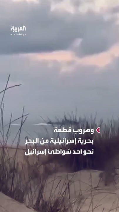    7 ..  - -    
 - نشر قبل 2 ساعة