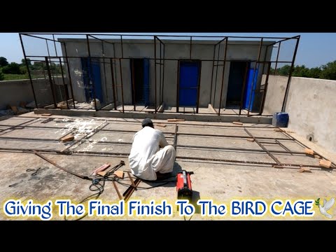 Video: Perfect Perd Bird Cage кантип орнотулат