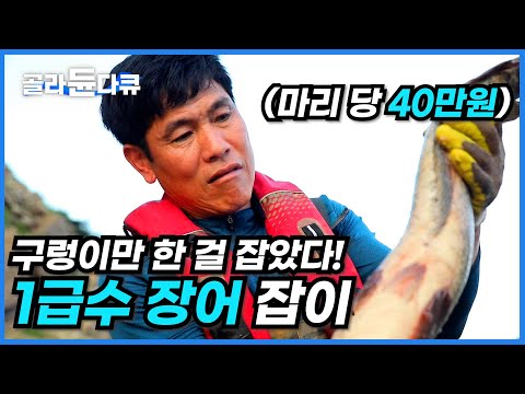 귀한 장어 도망갈까 배 엔진도 끄고 잡아야 한다 마리당 40만 원 1급수에서 태어난 장어 잡기 순천 상사호 장어구이 먹방 한국기행 골라듄다큐 