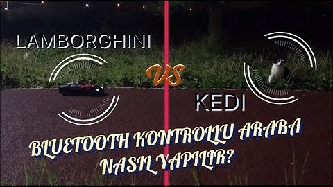 BLUETOOTH KONTROLLÜ ARABA YAPIMI (KEDİ İLE VS ATTIK !) - Arduino Projeleri #1
