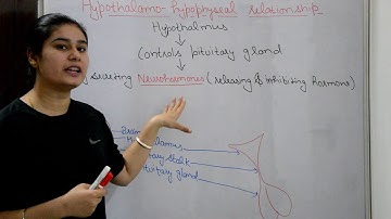 Pituitary gland anatomy & physiology in hindi || Hormones || structure || functions || locations