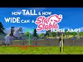 How High and how Wide can a Star Stable Horse Jump?