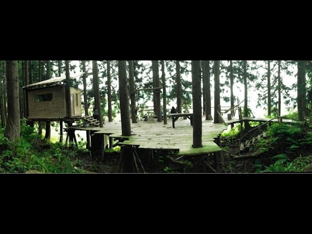 greenfield -2011 Summer-