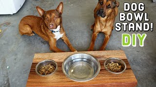 🐕 How to Make a Dog Food Bowl Stand | DIY