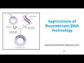 Applications of Recombinant DNA Technology || Recombinant DNA Technology