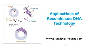 Applications of Recombinant DNA Technology || Recombinant DNA Technology