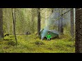 October Rain Camp in the Forest