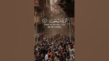 سورة العنكبوت الآية (٥٧,٥٨) القارئ (عبد الرحمن مسعد)