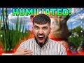 Scammer HUMILIATED After losing his FILES!