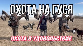 Охота на гуся в Удовольствие!