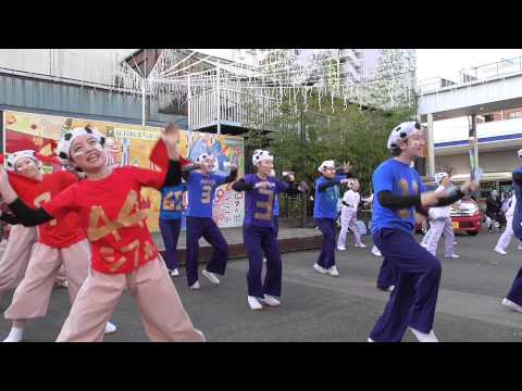 祭・WAIWAIよこはま「仮装」湘南ひらつか スターライトフェスティバル2014.12.21