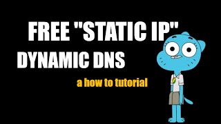 Dynamic DNS for FREE | Homelab Static IP