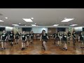 Dancing Queen - Line Dance (Beginner)