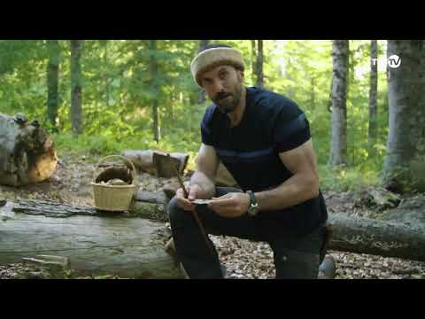 Video: Odun sobası. Kendi elinizle odun yanan bir sauna sobası nasıl yapılır