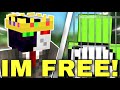 Ranboo Reacts To DREAM Being In PRISON! (Dream SMP)