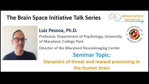 Dynamics of threat and reward processing in the human brain