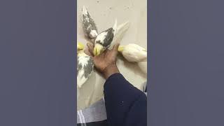 #Eṉ kuṭṭīskaḷuṭaṉ kaḻitta nēram#timespend with my cutes