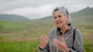 Forest and peatland programme: planting plans